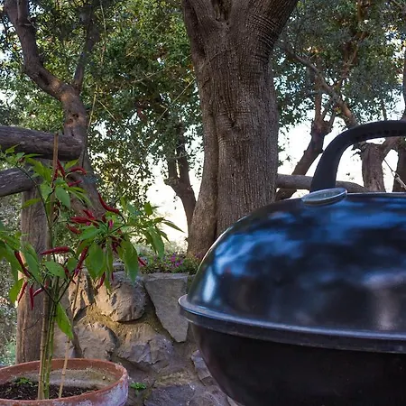 Appartamento Terrace On Mediterranean Sorrento