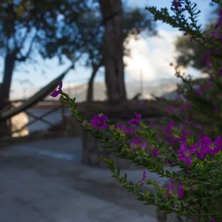 Appartamento Terrace On Mediterranean