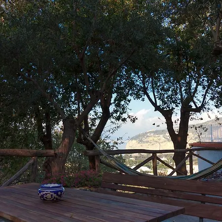 Terrace On Mediterranean Appartamento Sorrento